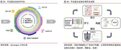 合成生物乘勢(shì)而起 顛覆傳統(tǒng)引領(lǐng)未來(lái)，軟件開(kāi)發(fā)助力行業(yè)龍頭迎戴維斯雙擊